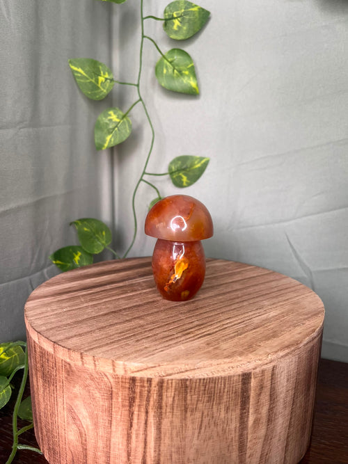 167g polished Carnelian mushroom carving featuring warm translucent orange tones and natural mineral inclusions.