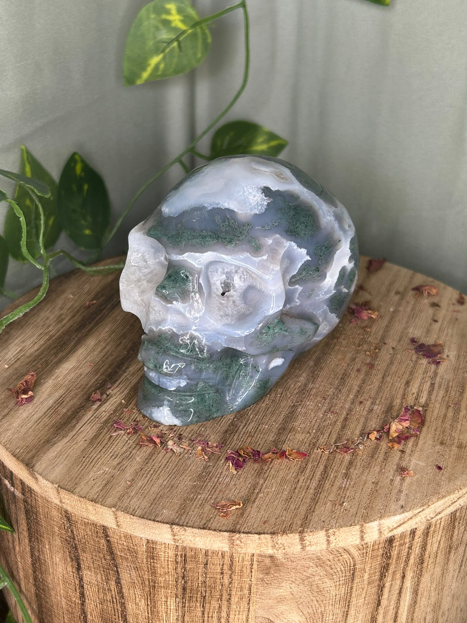 Moss Agate Skull with Druzy