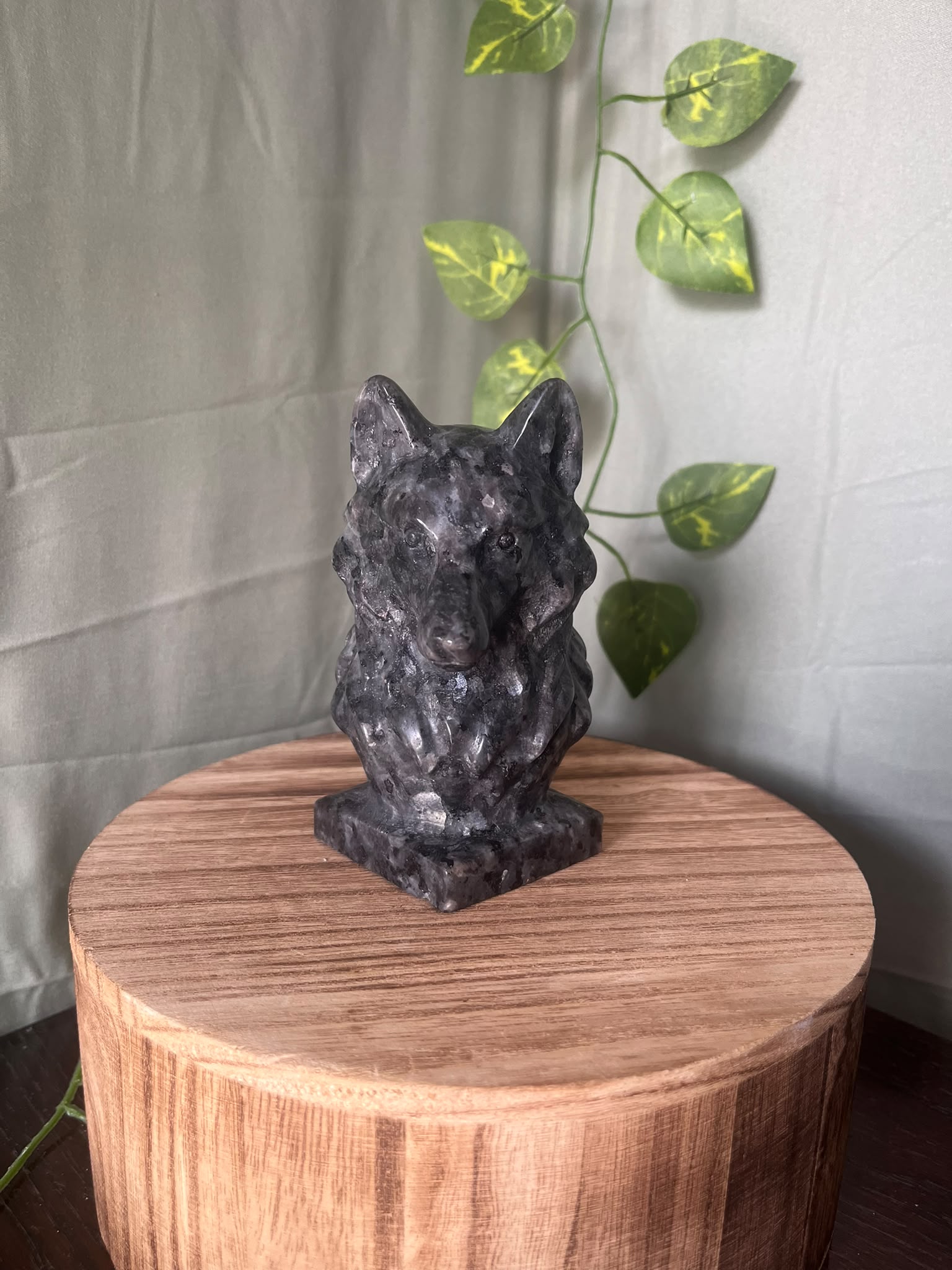 735g natural Larvikite wolf crystal carving featuring shimmering silver feldspar flashes and detailed wolf craftsmanship.