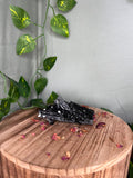 Pakistani Black Tourmaline with Feldspar #1