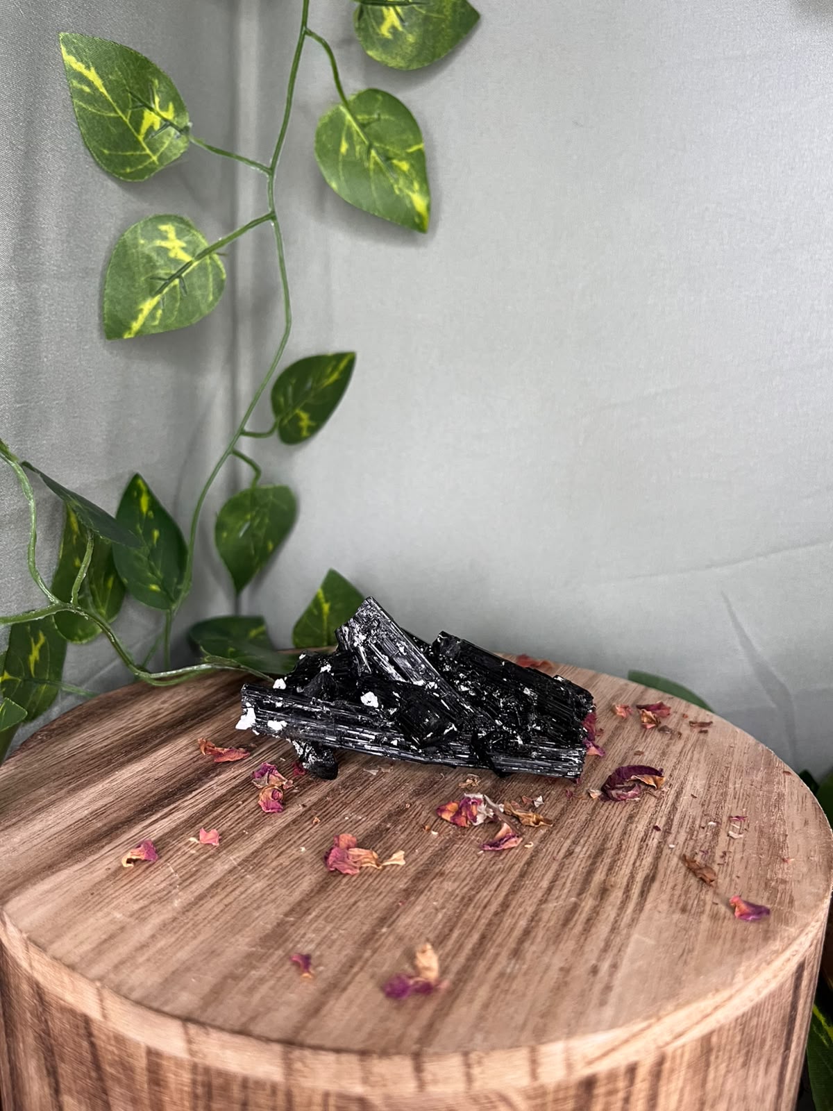 Pakistani Black Tourmaline with Feldspar #1