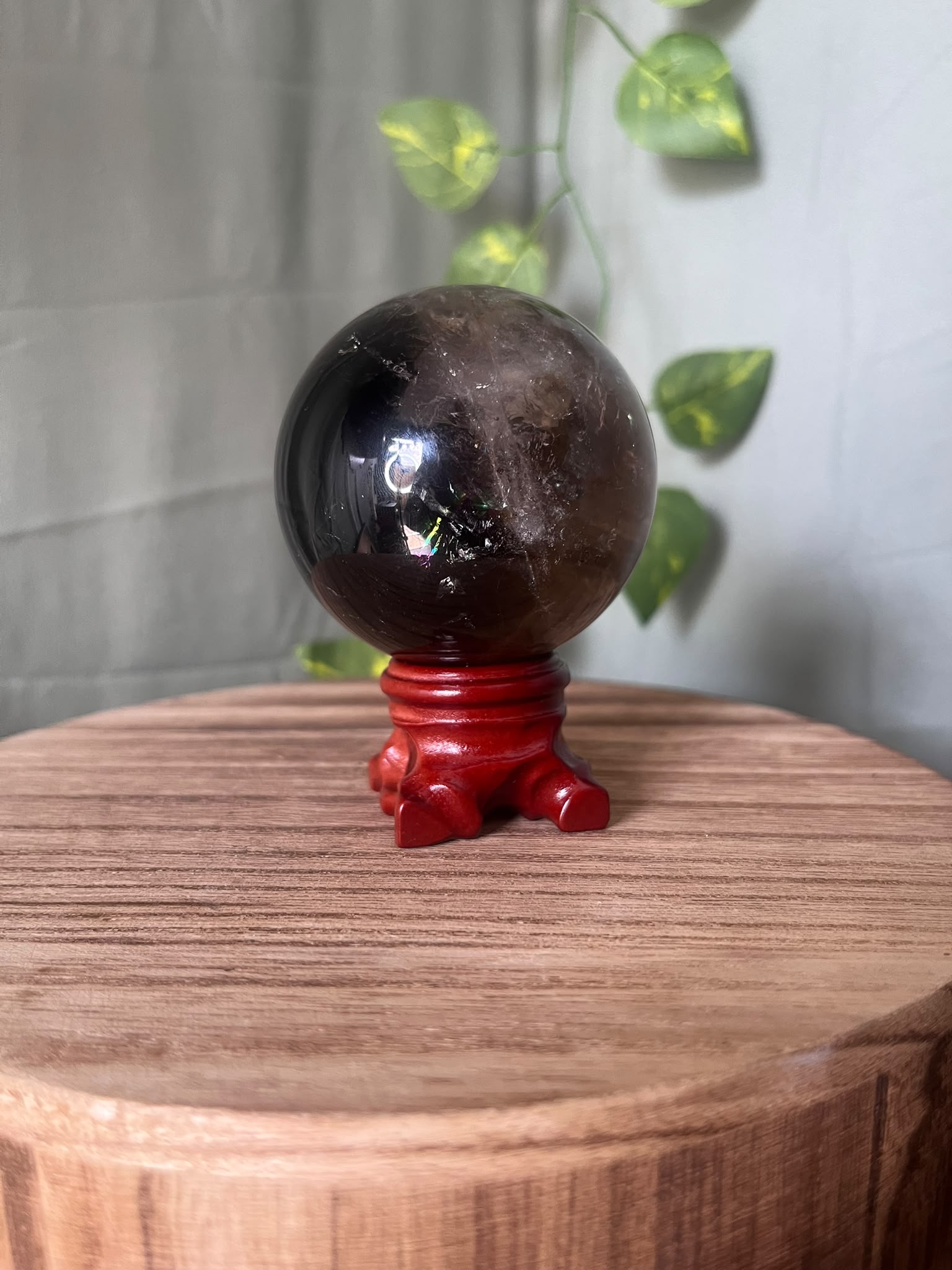 339g polished Rainbow Smoky Quartz sphere featuring deep smoky colouring with natural rainbow inclusions and a glossy finish.