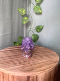 Amethyst & Agate Skull #2