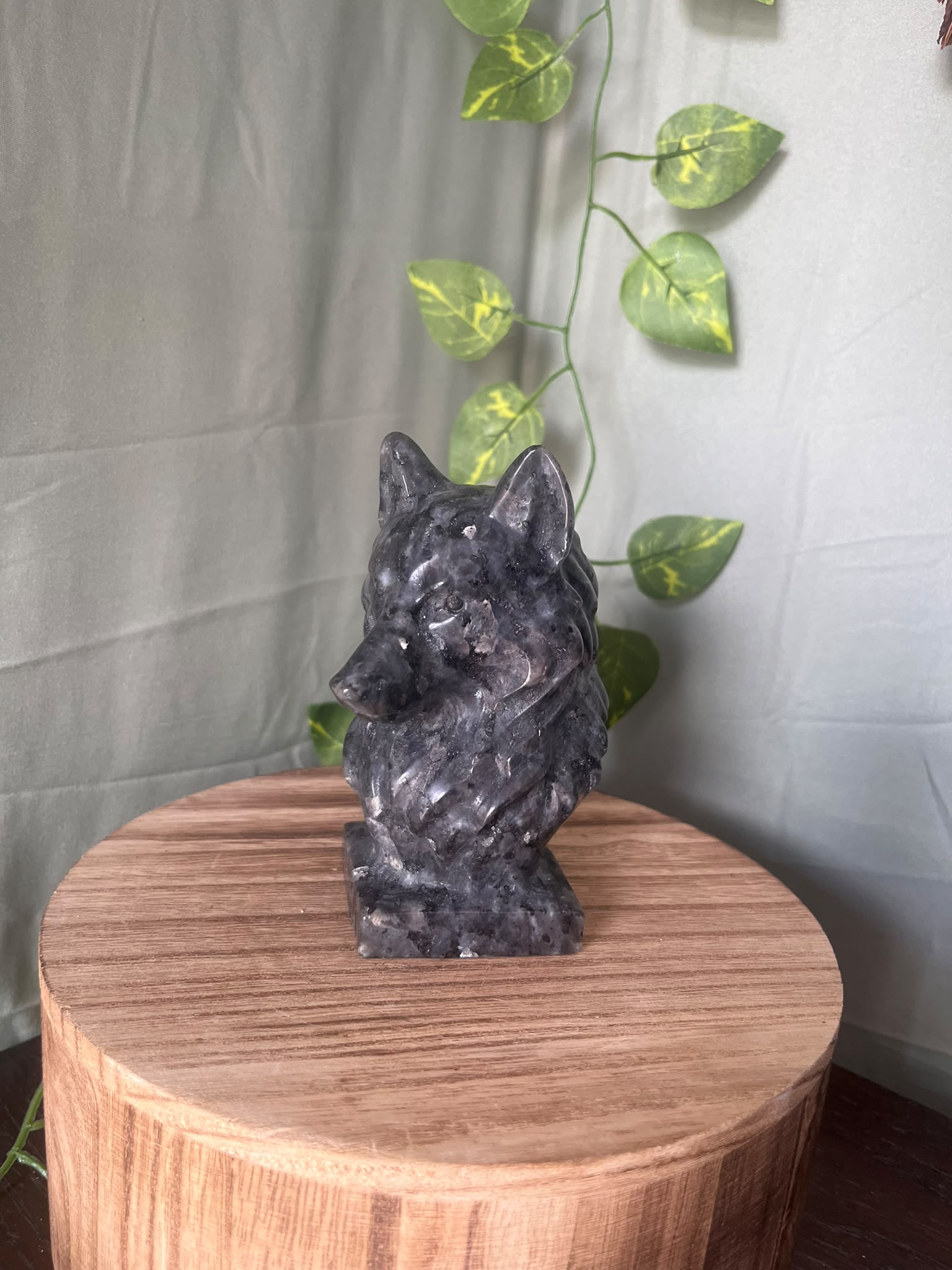 735g natural Larvikite wolf crystal carving featuring shimmering silver feldspar flashes and detailed wolf craftsmanship.