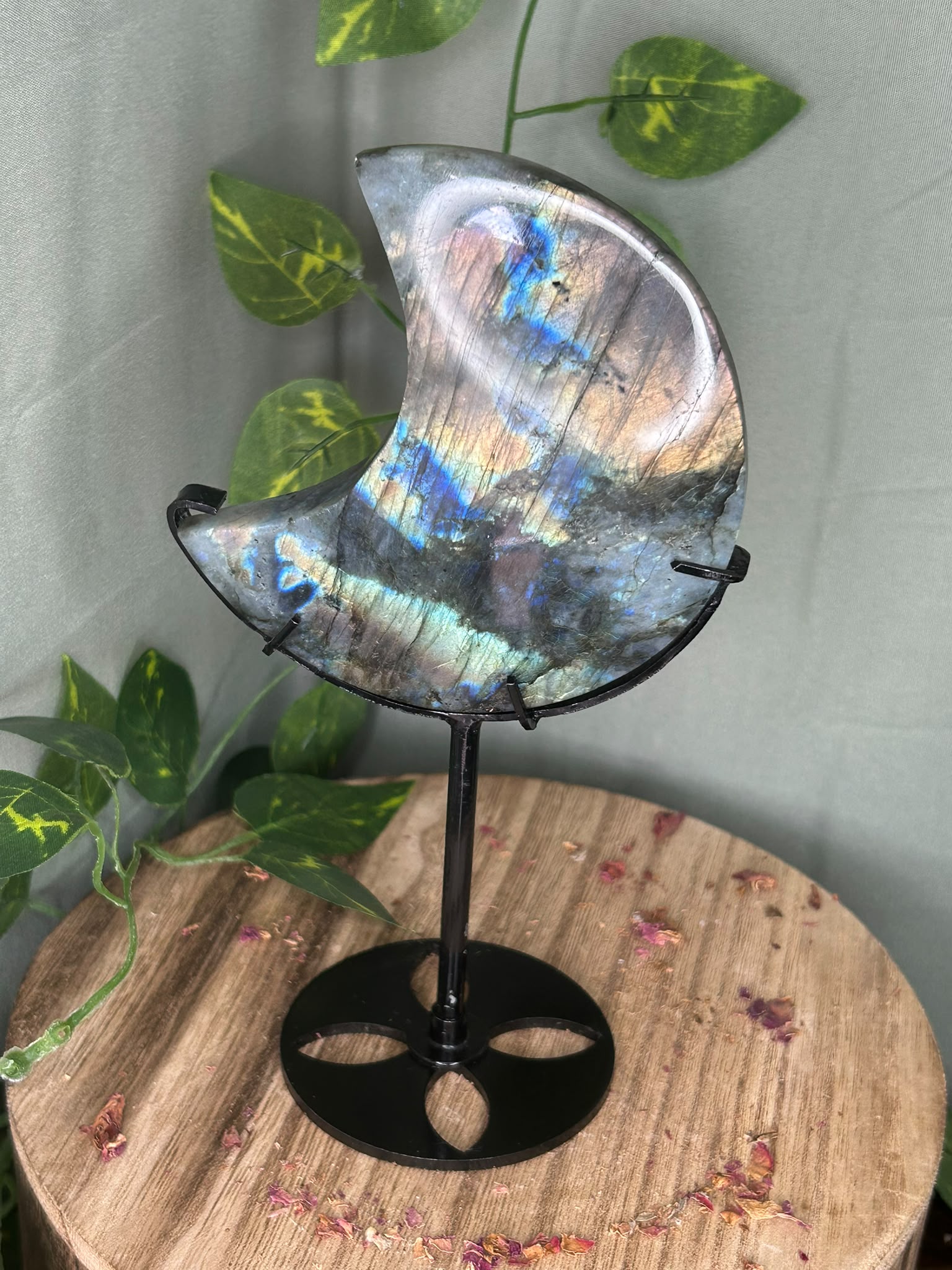 Labradorite Crescent Moon on Stand