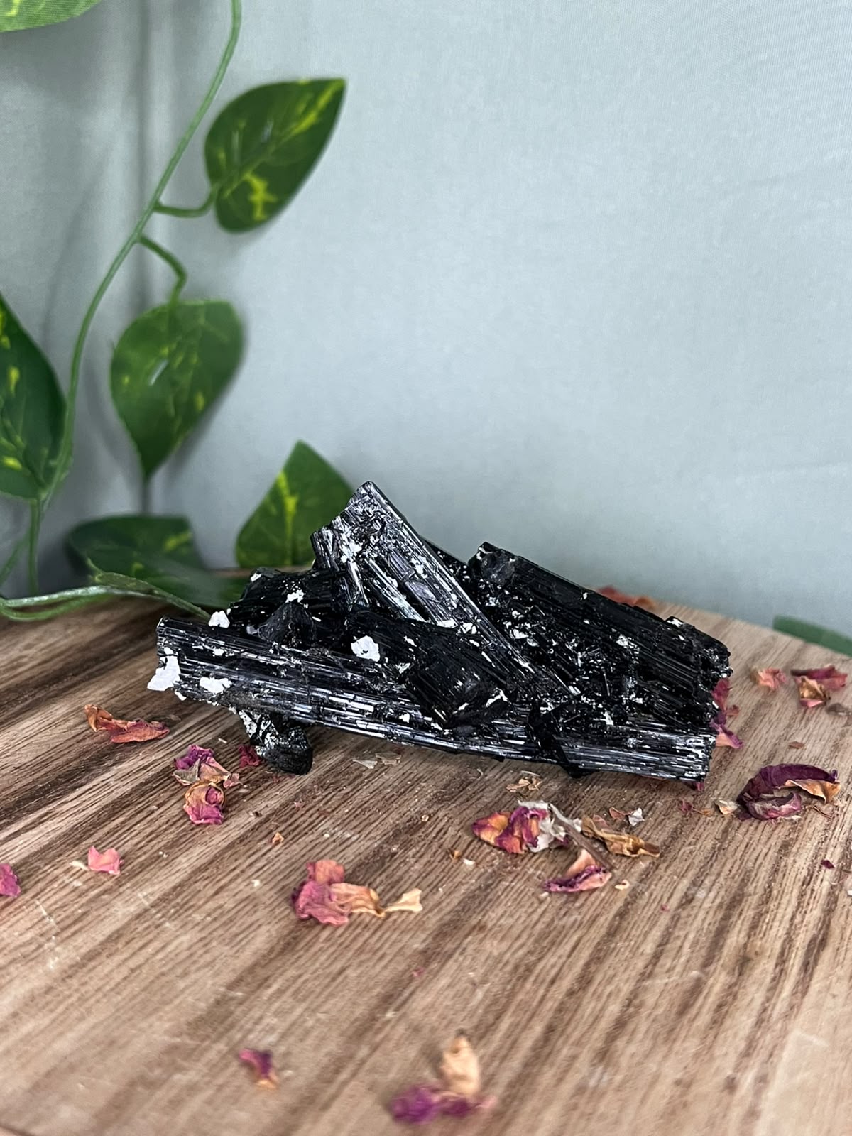 Pakistani Black Tourmaline with Feldspar #1