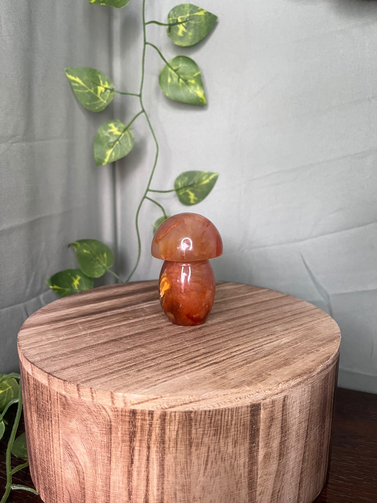 167g polished Carnelian mushroom carving featuring warm translucent orange tones and natural mineral inclusions.