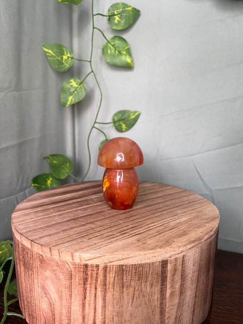167g polished Carnelian mushroom carving featuring warm translucent orange tones and natural mineral inclusions.