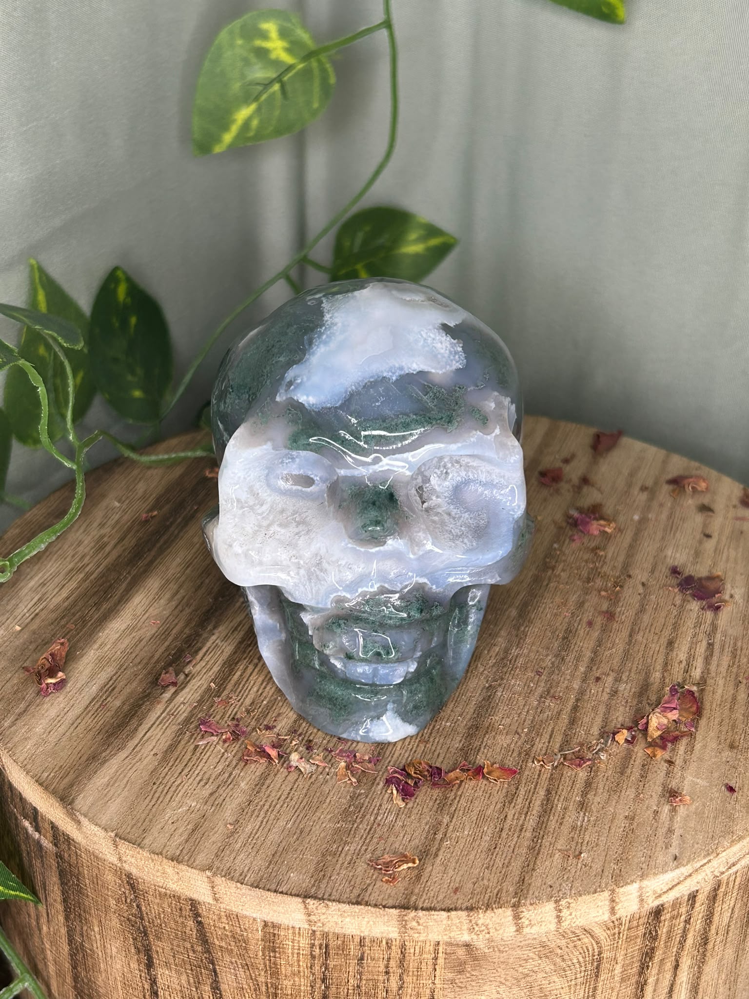 Moss Agate Skull with Druzy