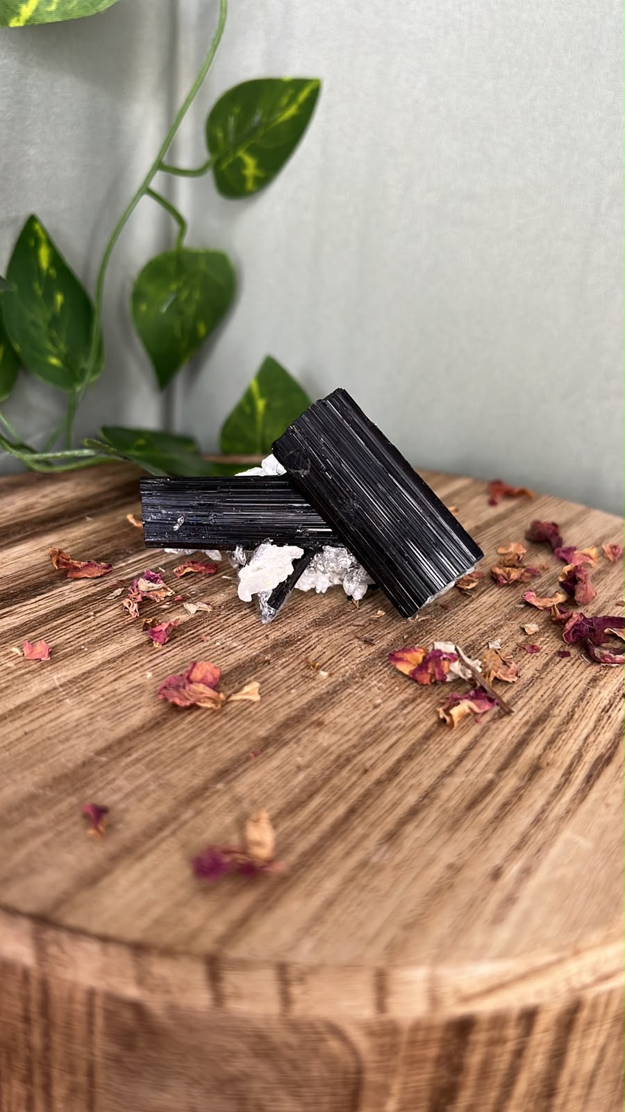 Pakistani Black Tourmaline with Feldspar #2