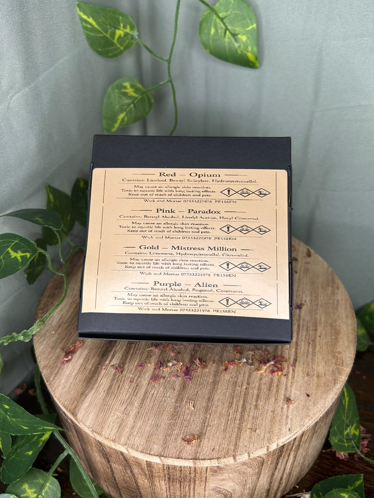 The Enchantment Ritual – Luxury Perfume Skull Wax Melt Box
