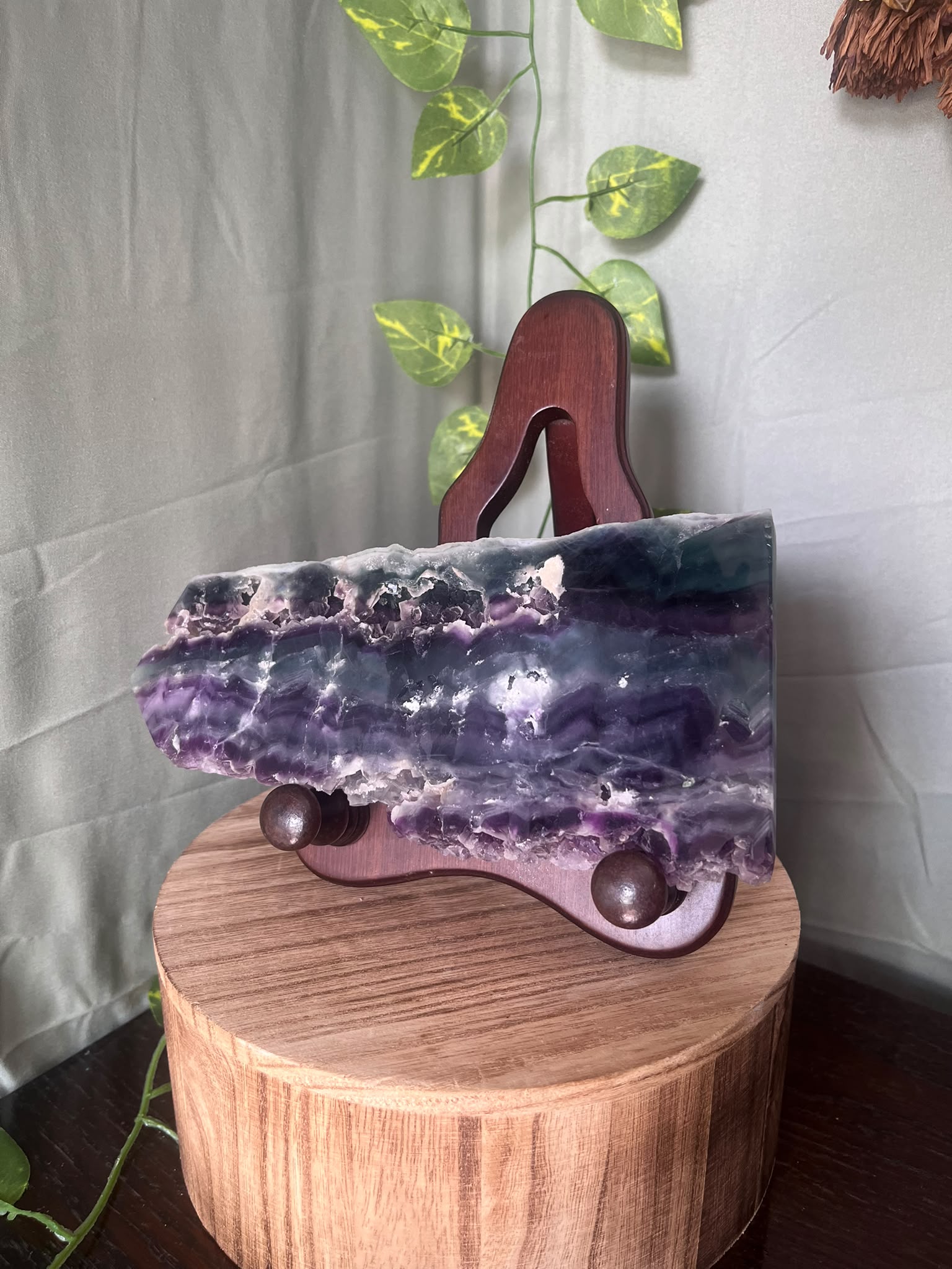 Rainbow Fluorite Display Slab with Wooden Stand