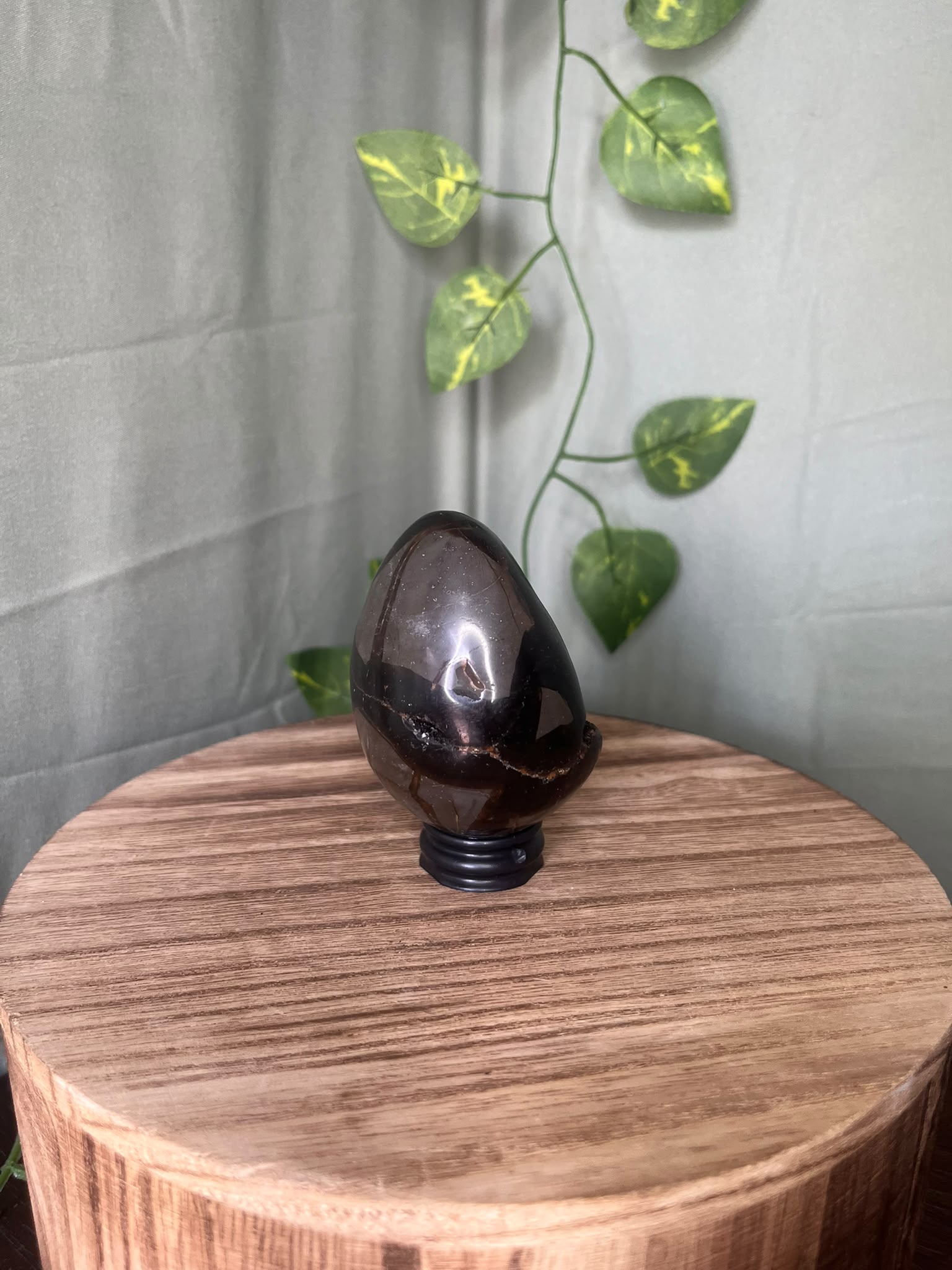 UV Reactive Septarian Druzy Egg