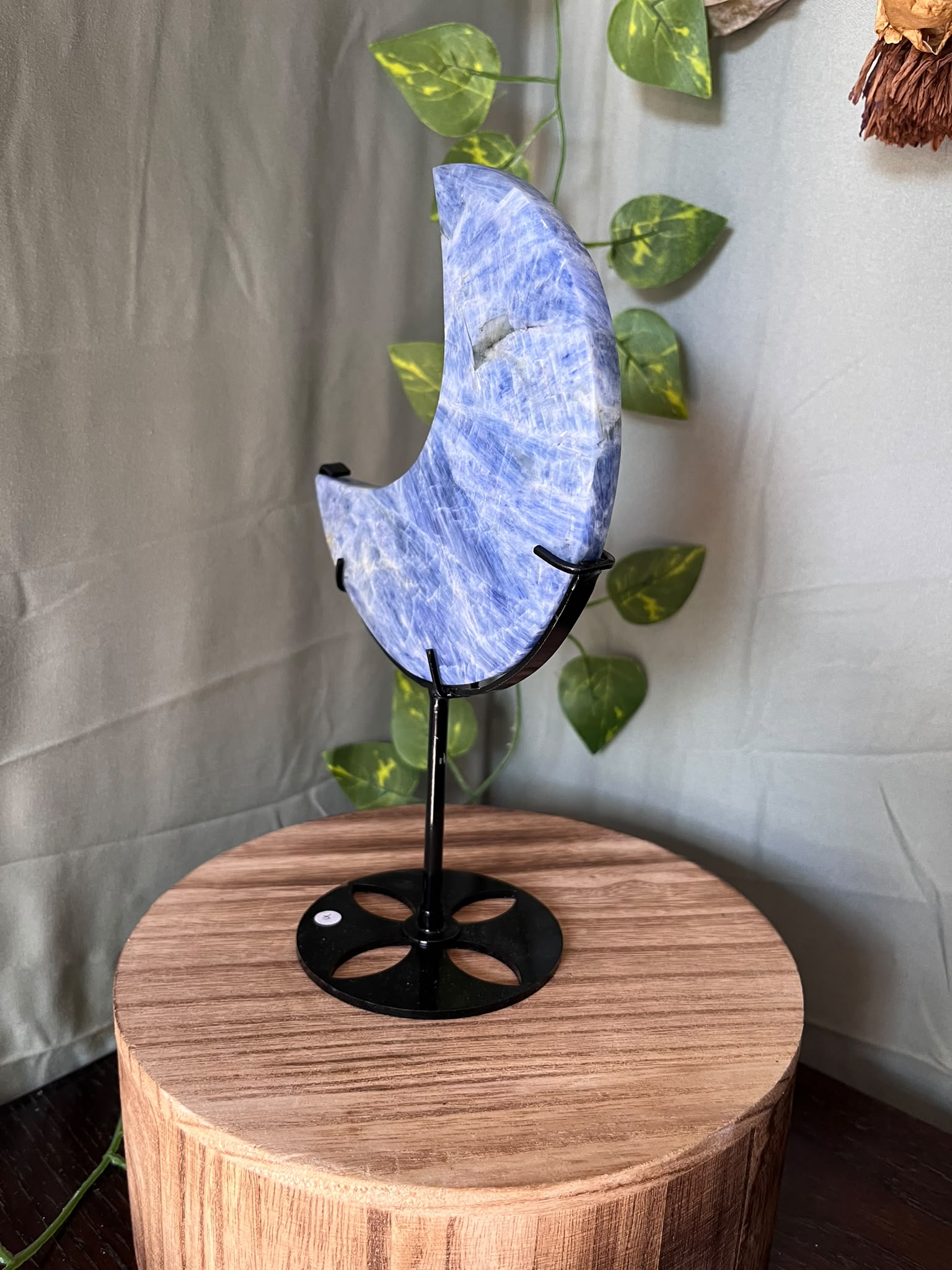 355g natural Blue Kyanite crescent moon crystal carving displayed on a black metal stand with soft blue fibrous patterning.