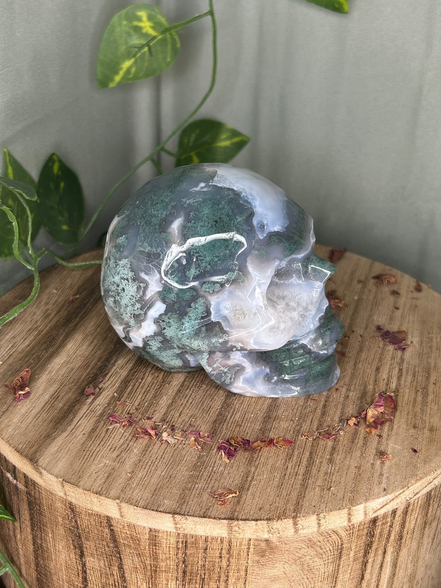 Moss Agate Skull with Druzy