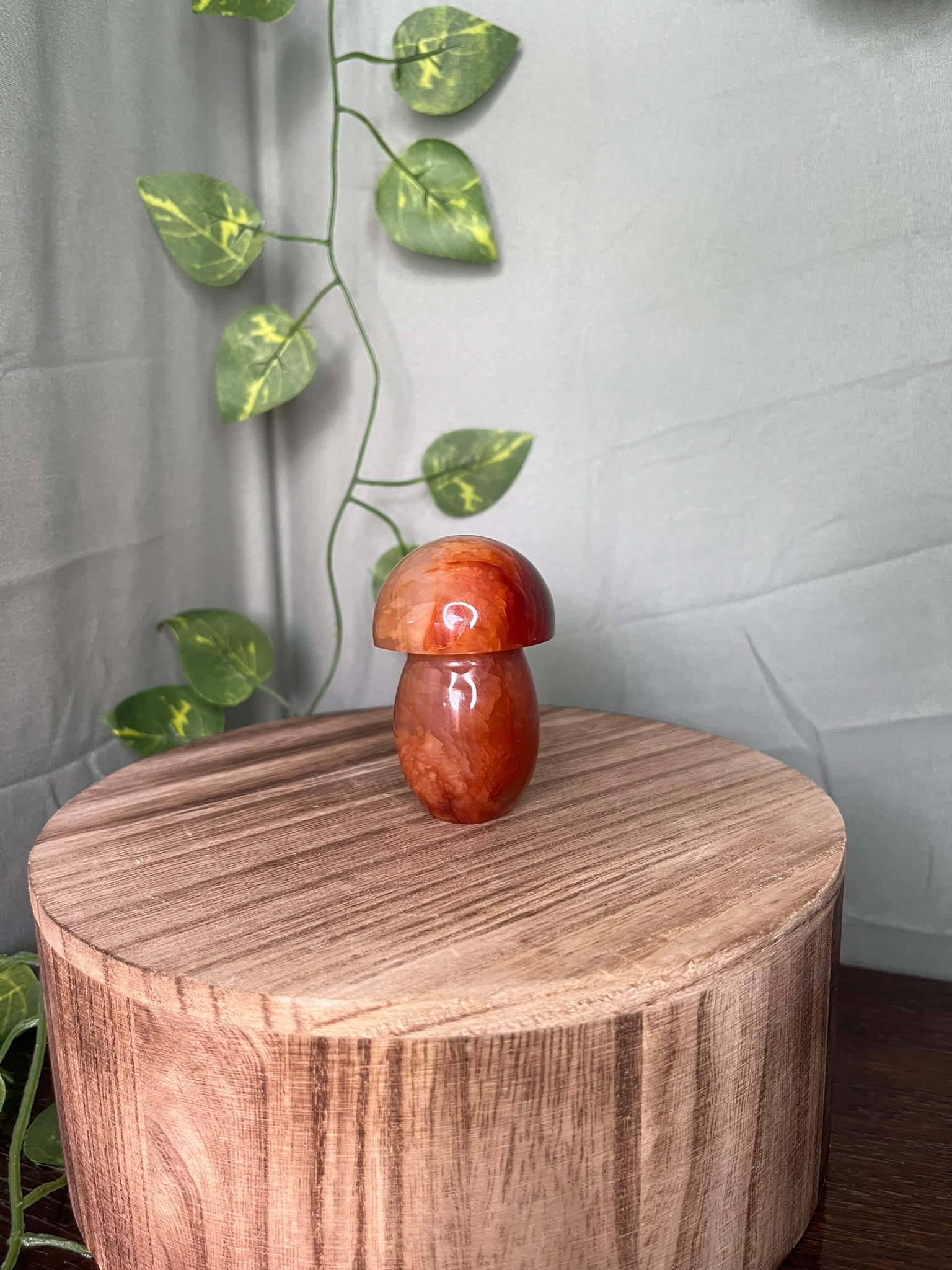 167g polished Carnelian mushroom carving featuring warm translucent orange tones and natural mineral inclusions.