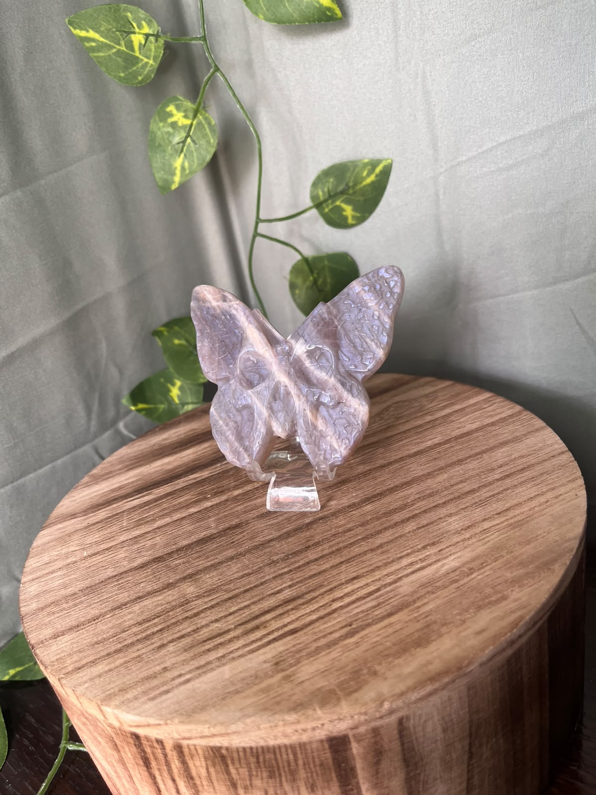 Moonstone Death Moth Carving
