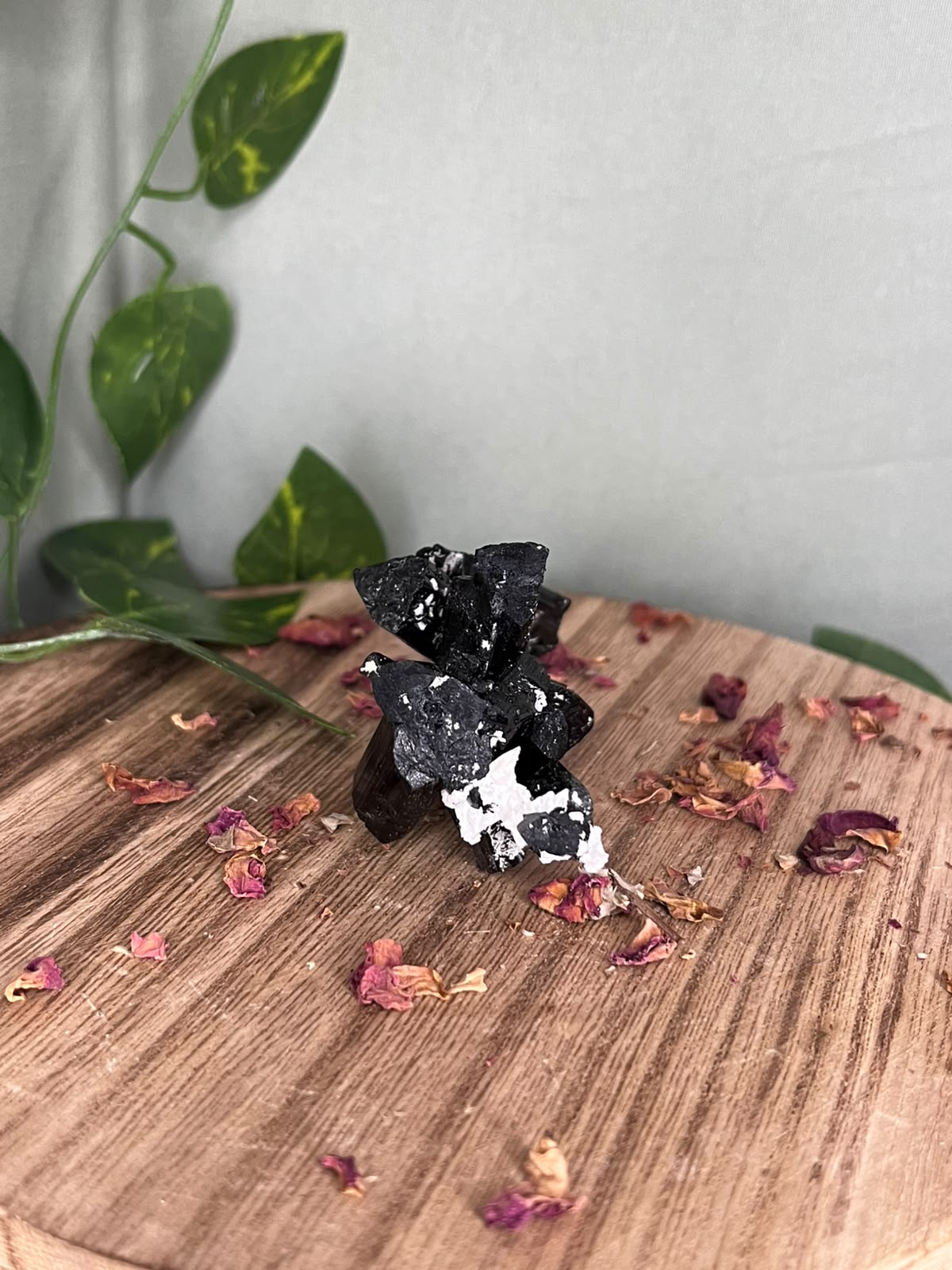 Pakistani Black Tourmaline with Feldspar #1