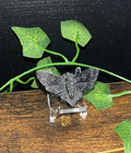 Silver Sheen Obsidian Death Moth Carvings