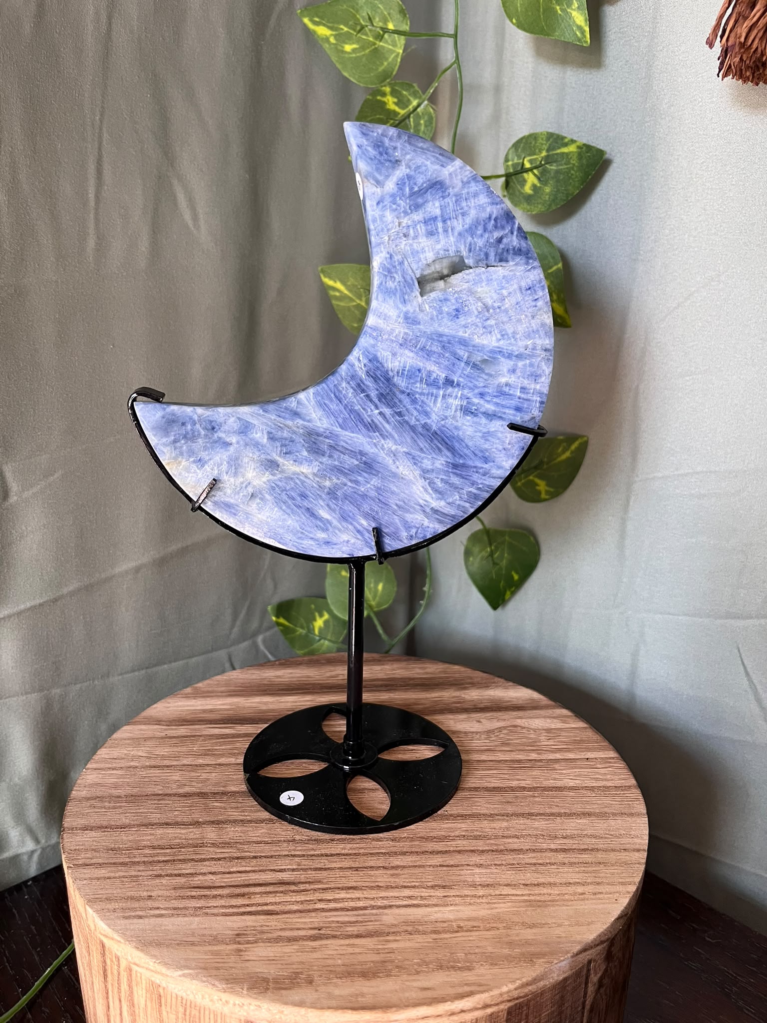 355g natural Blue Kyanite crescent moon crystal carving displayed on a black metal stand with soft blue fibrous patterning.