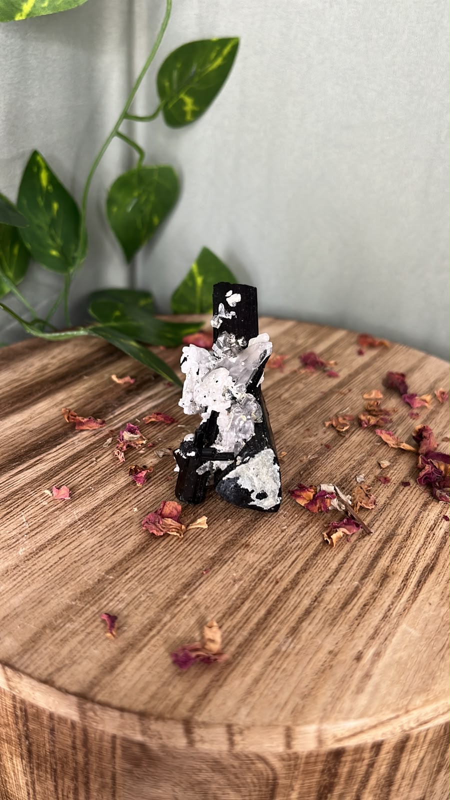 Pakistani Black Tourmaline with Feldspar #2
