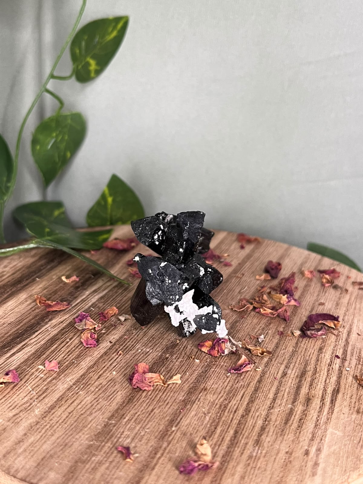 Pakistani Black Tourmaline with Feldspar #1