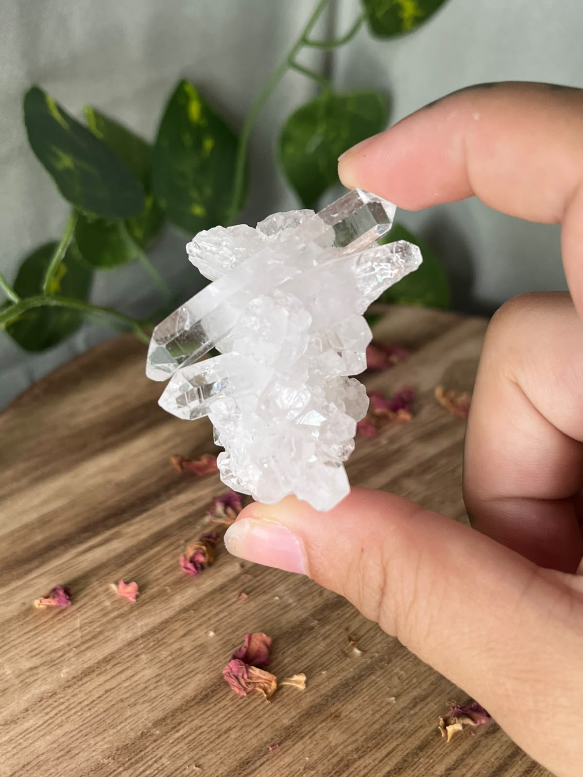 Pakistani Quartz Cluster #1