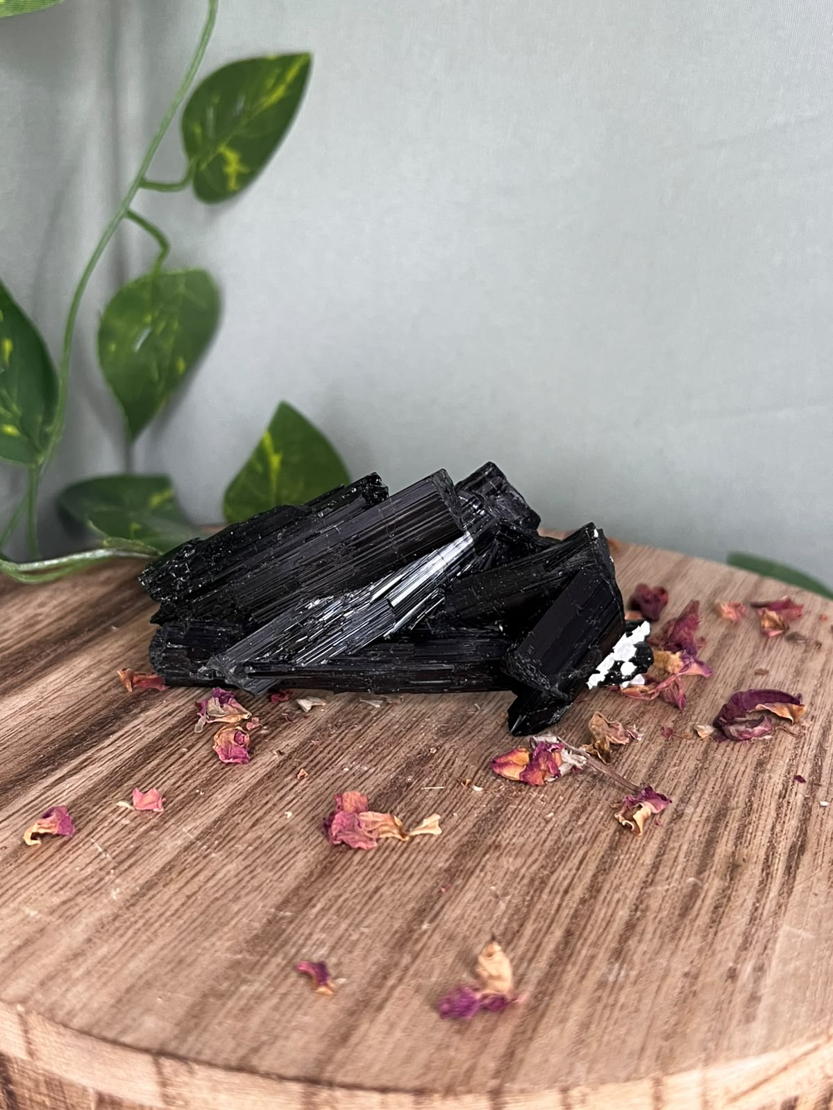 Pakistani Black Tourmaline with Feldspar #1