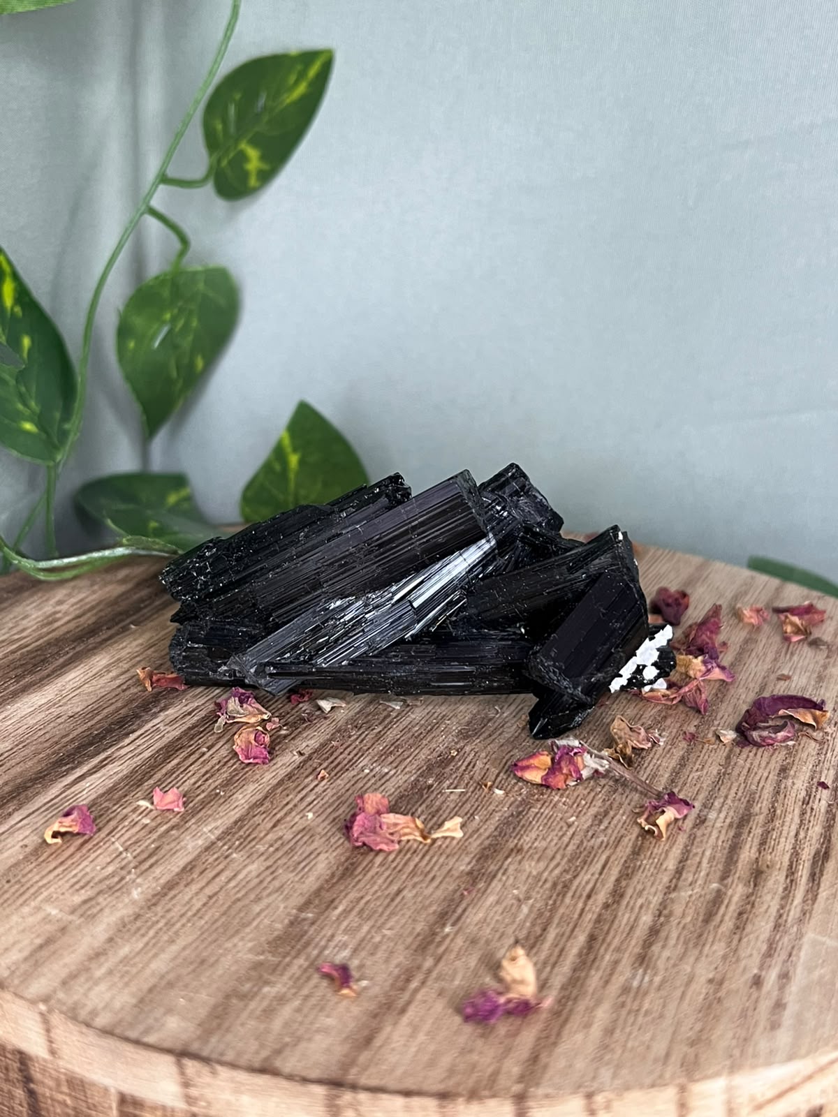 Pakistani Black Tourmaline with Feldspar #1