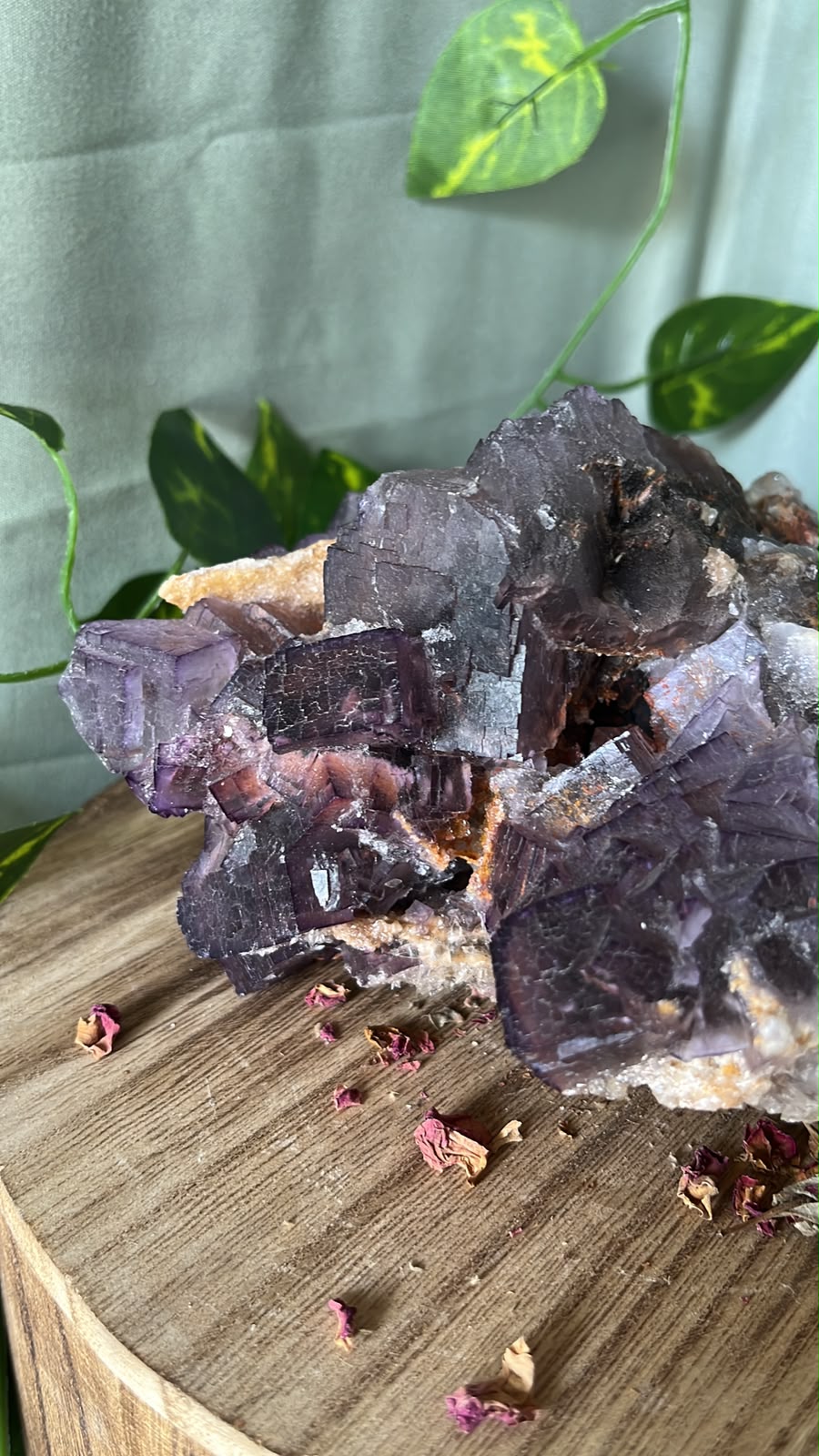 Pakistani Purple Fluorite on Druzy Quartz Matrix