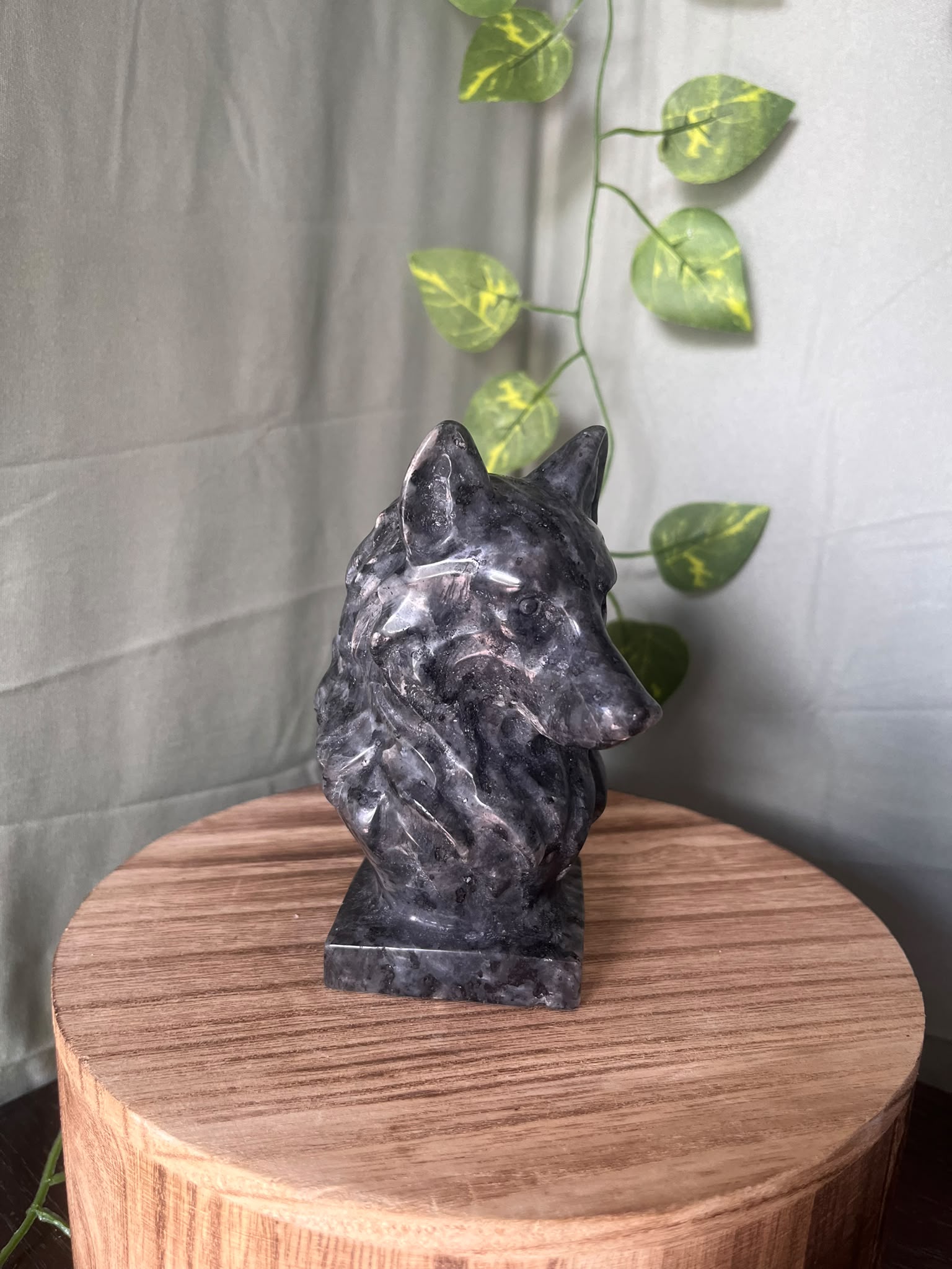 735g natural Larvikite wolf crystal carving featuring shimmering silver feldspar flashes and detailed wolf craftsmanship.