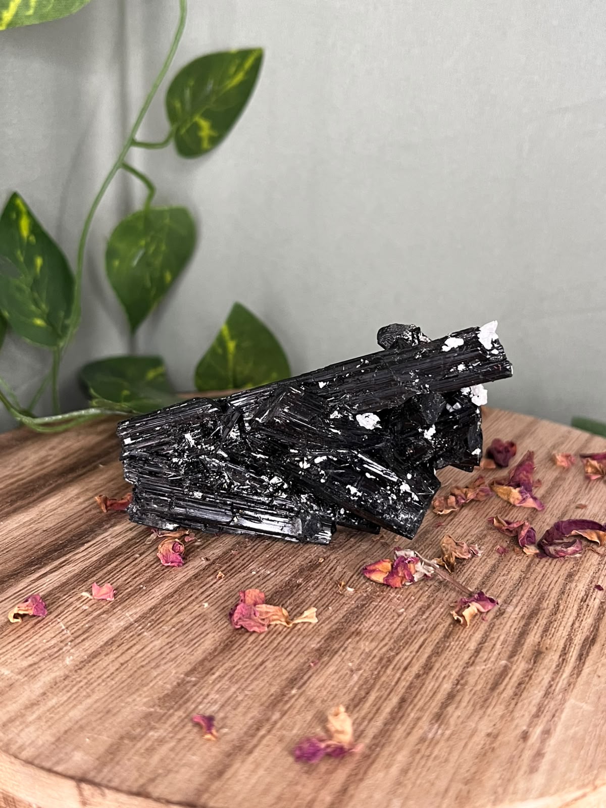 Pakistani Black Tourmaline with Feldspar #1