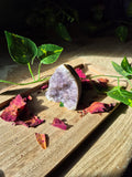 Small Amethyst Druzy Geode — Calm & Clarity